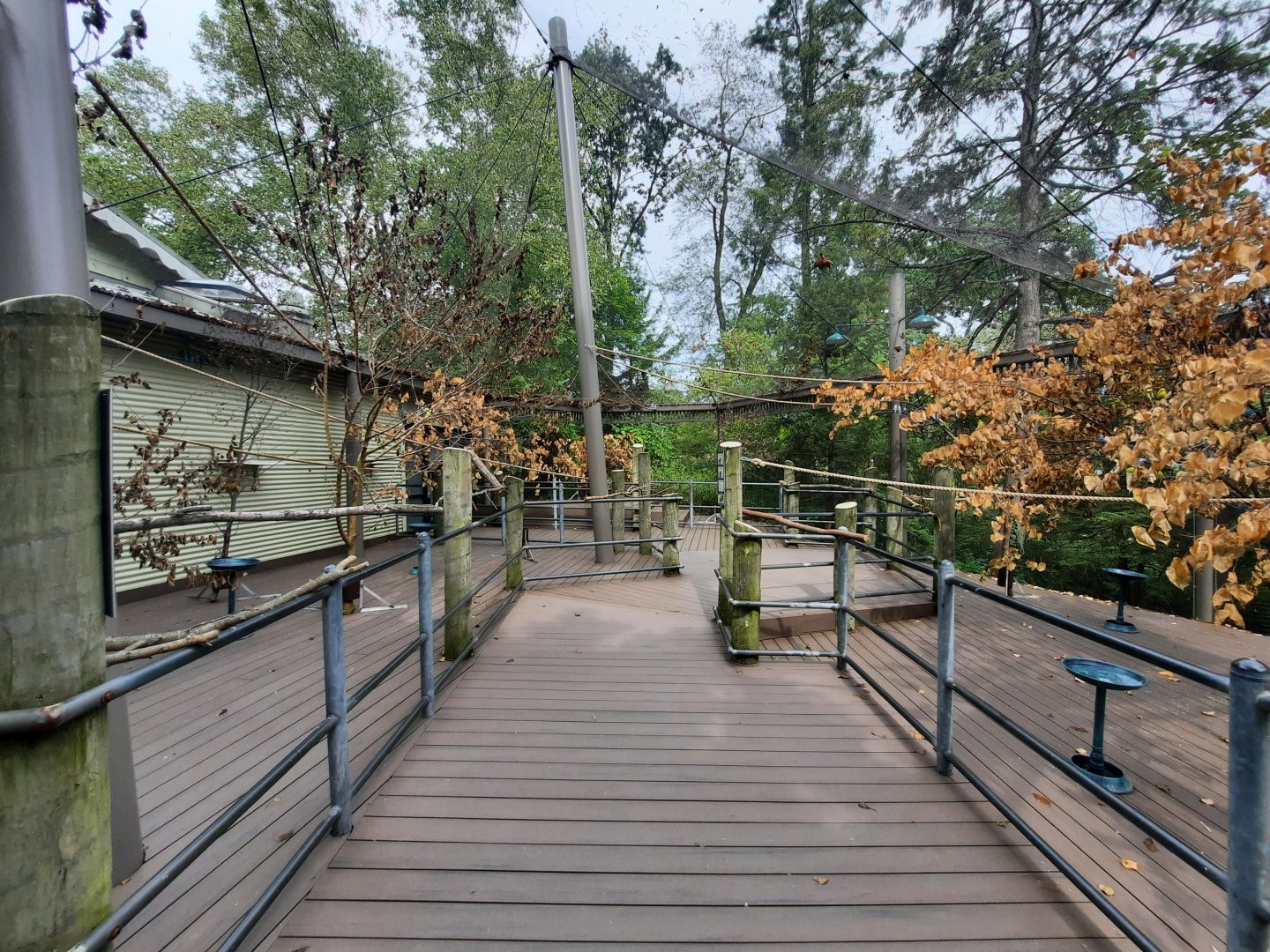 Outback Aviary - Main View