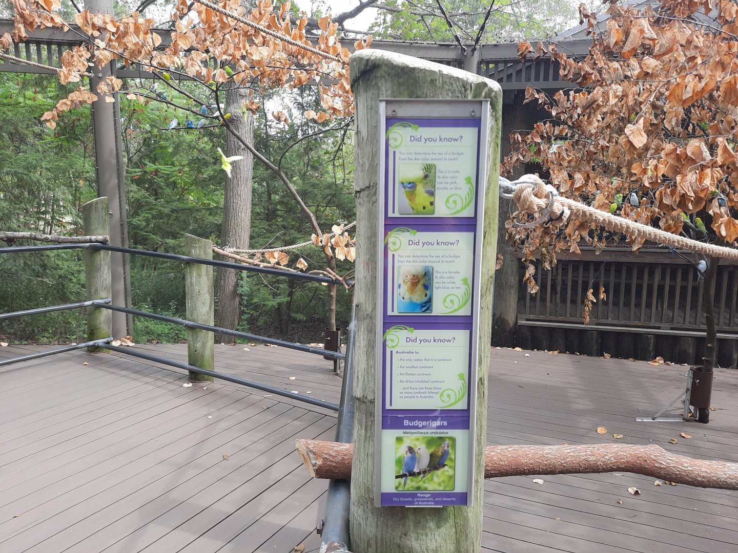 Outback Aviary- Signage