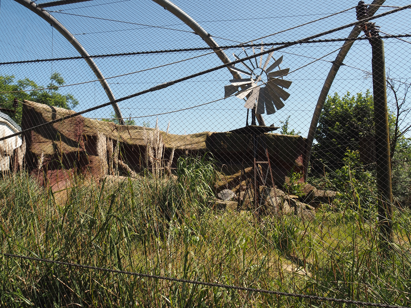 Outback aviary with Yellow-footed rock wallabies and birds, 2024-06-08
