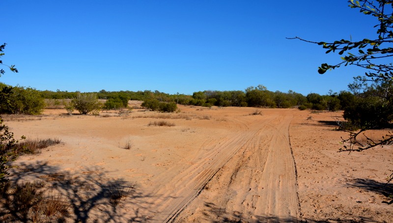 Outback bush track