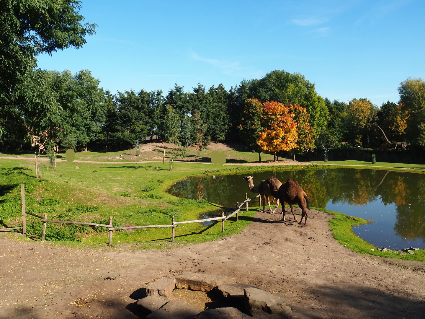 Outback exhibit - Part of Dromedary camel paddock, Lake and Kangaroo, Wallaby and Emu walk-through, 2022-10-09
