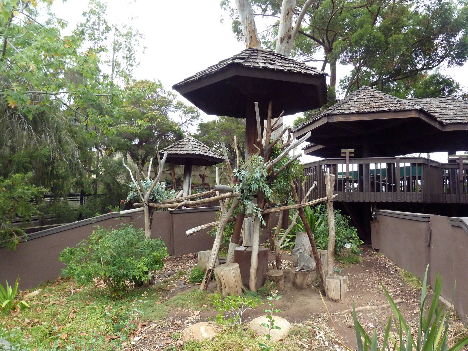 Outback - Koala Enclosures