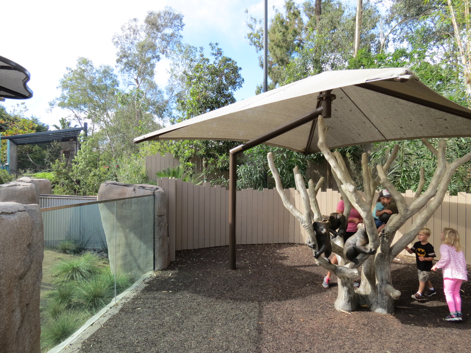 Outback - Koala Exhibit and Koala Climber