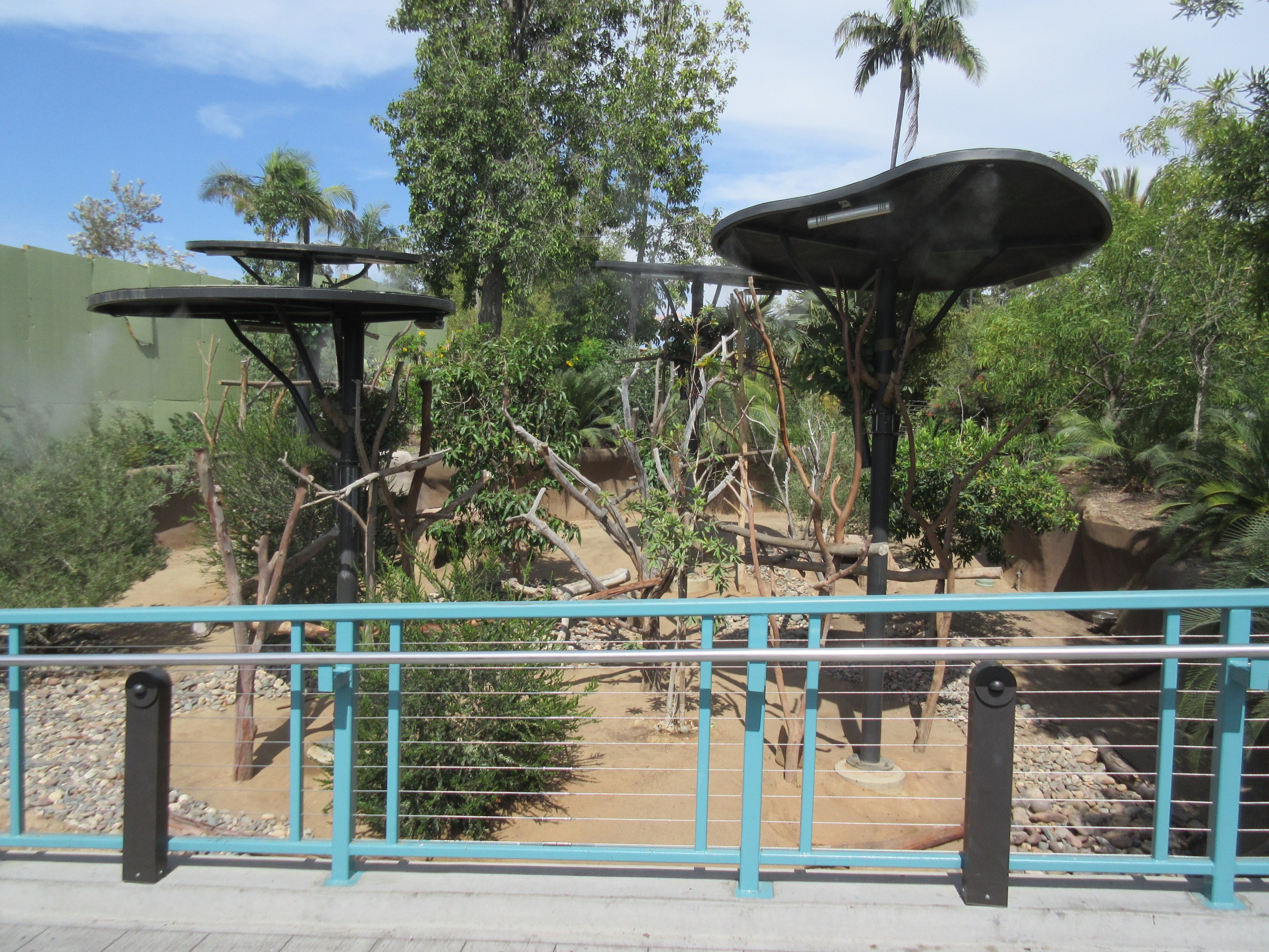 Outback - Koala Exhibit (one of many!)