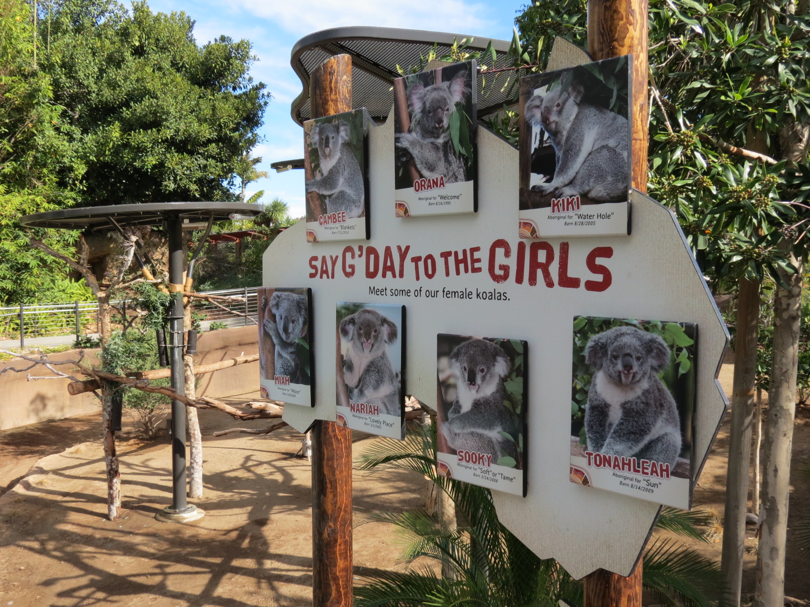 Outback - Koala Exhibits for Female Koalas - Sign