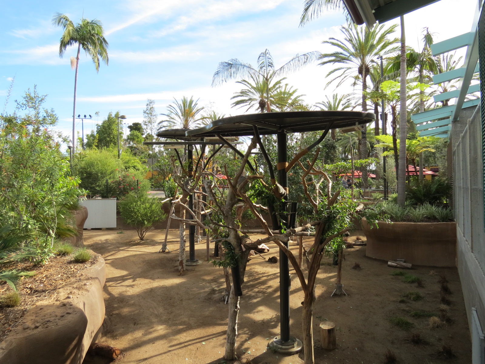 Outback - Koala Exhibits for Female Koalas