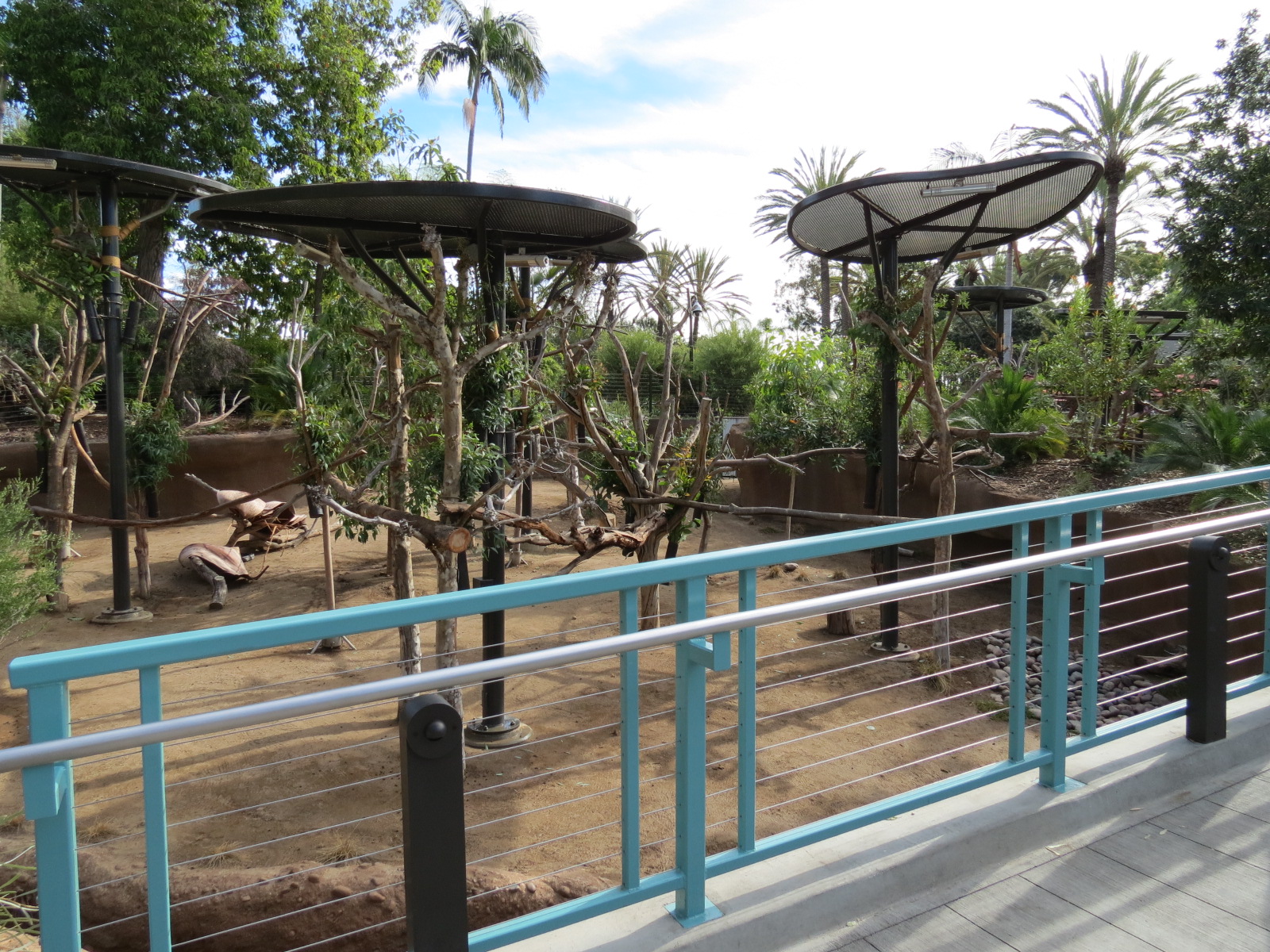 Outback - Koala Exhibits for Female Koalas