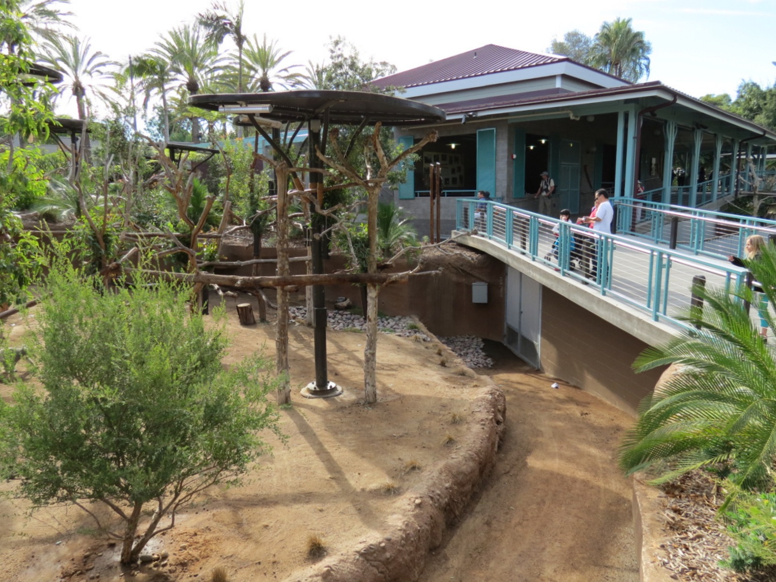 Outback - Koala Exhibits for Female Koalas