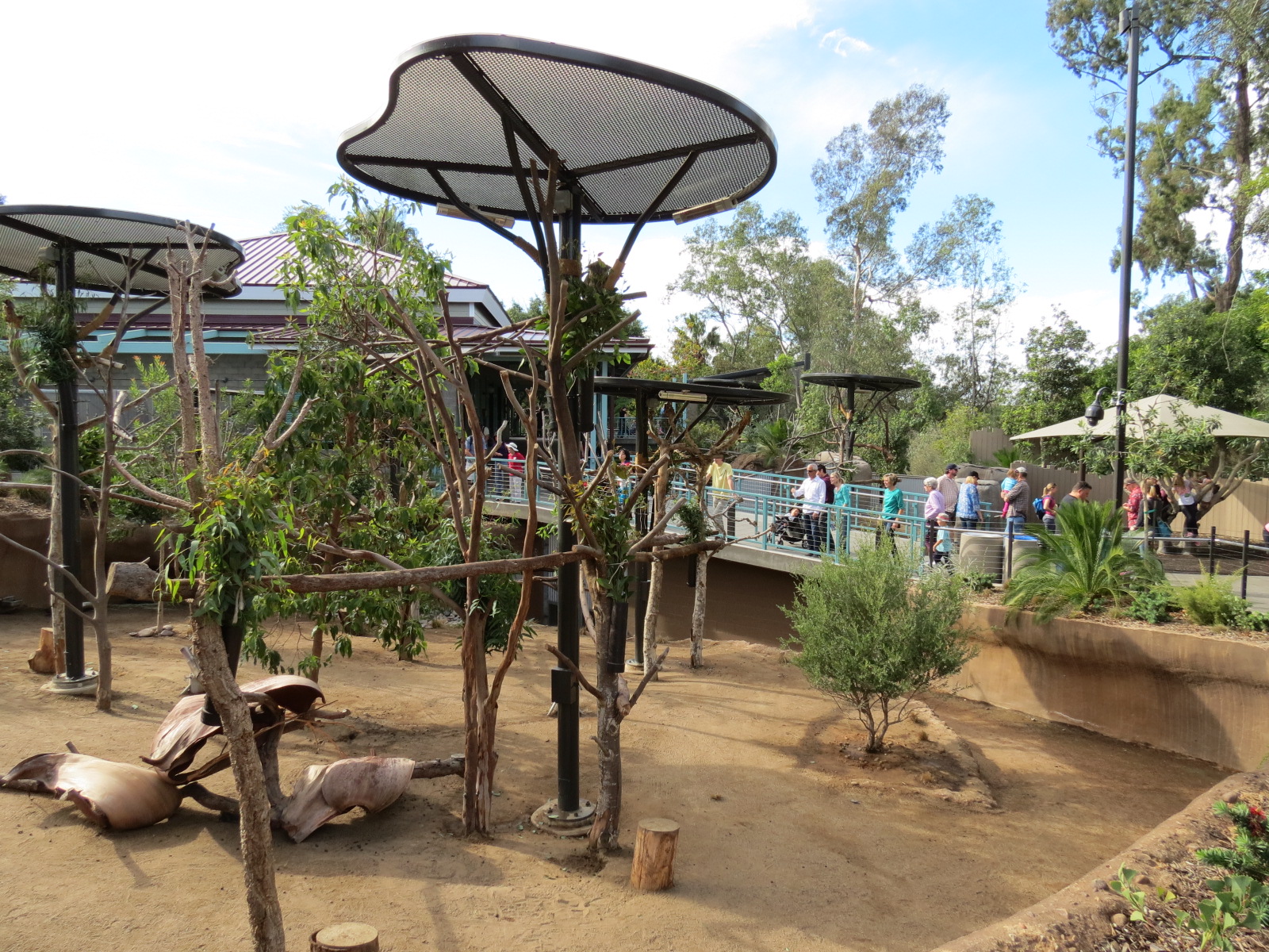 Outback - Koala Exhibits for Female Koalas