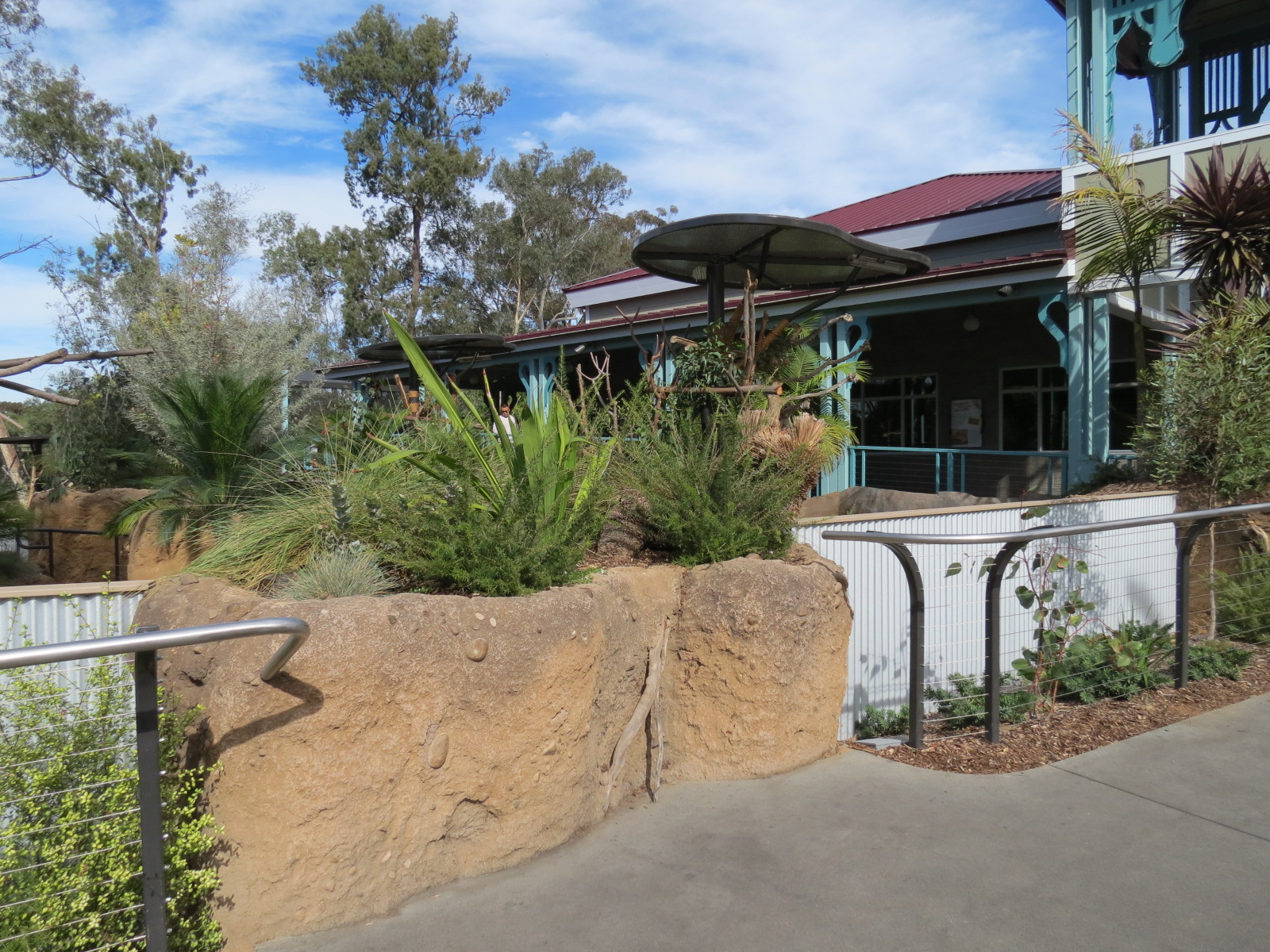 Outback - Koala Exhibits for Male Koalas