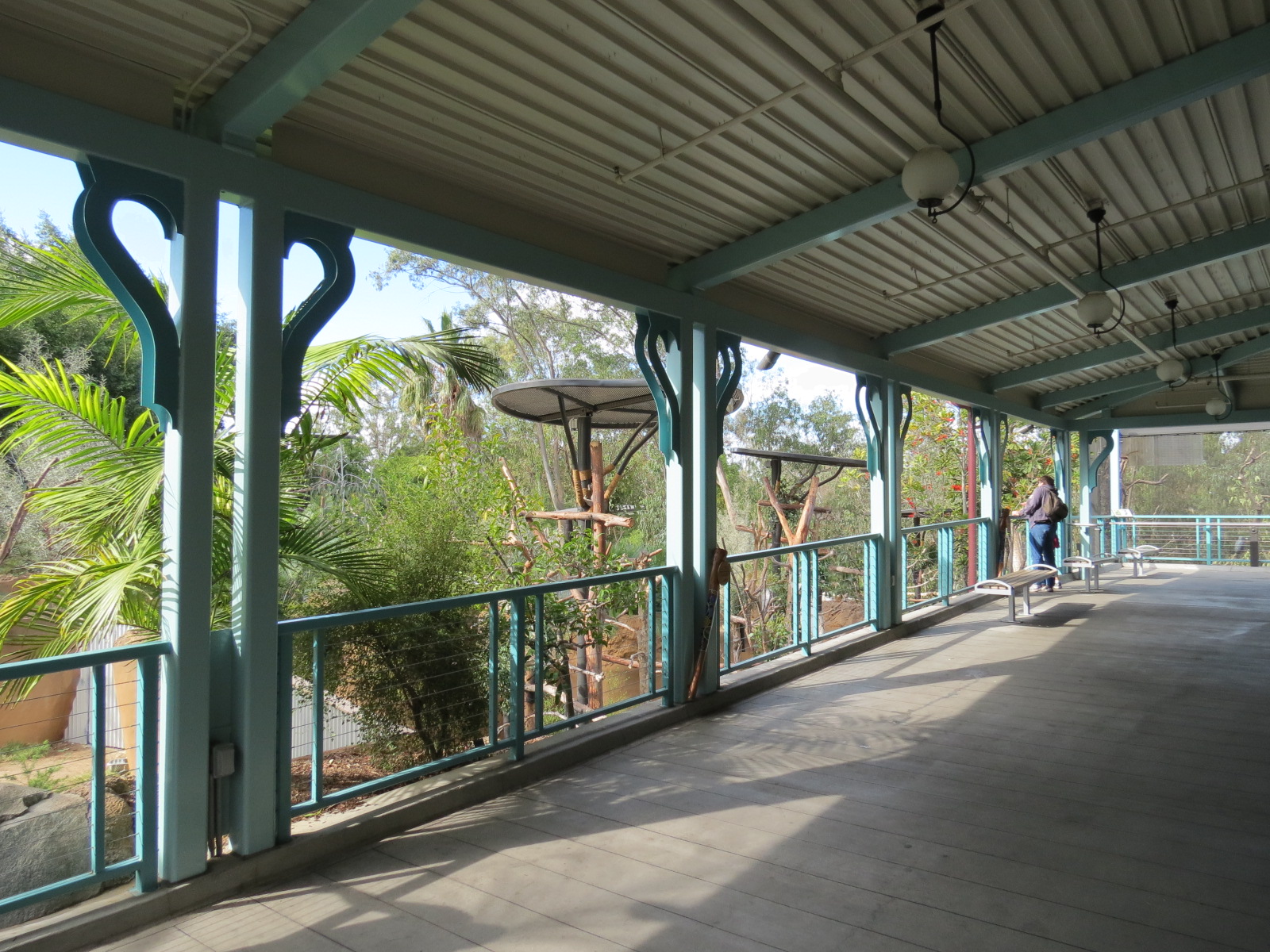 Outback - Koala Exhibits for Male Koalas