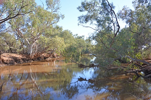 Outback river.   Q'ld