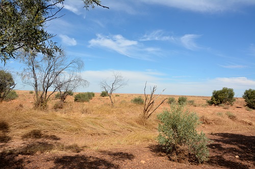 Outback scene 1