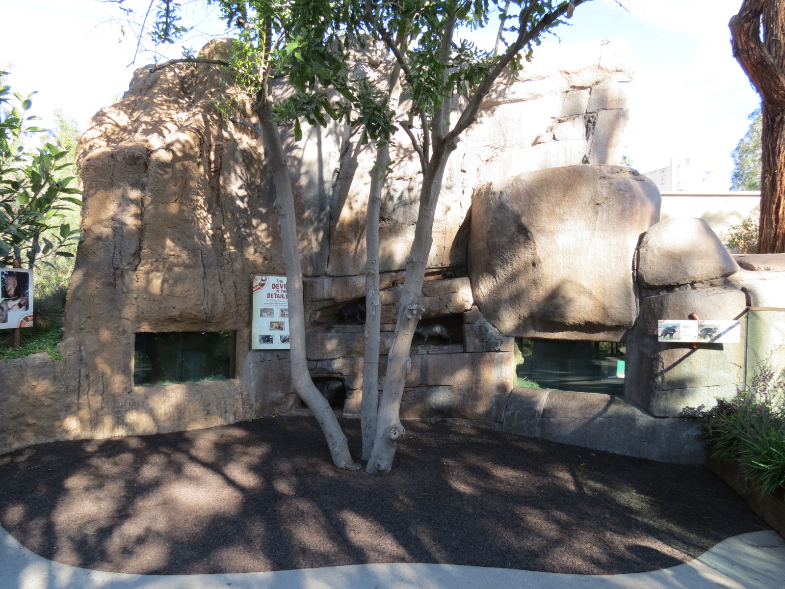 Outback - Tasmanian Devil Dens