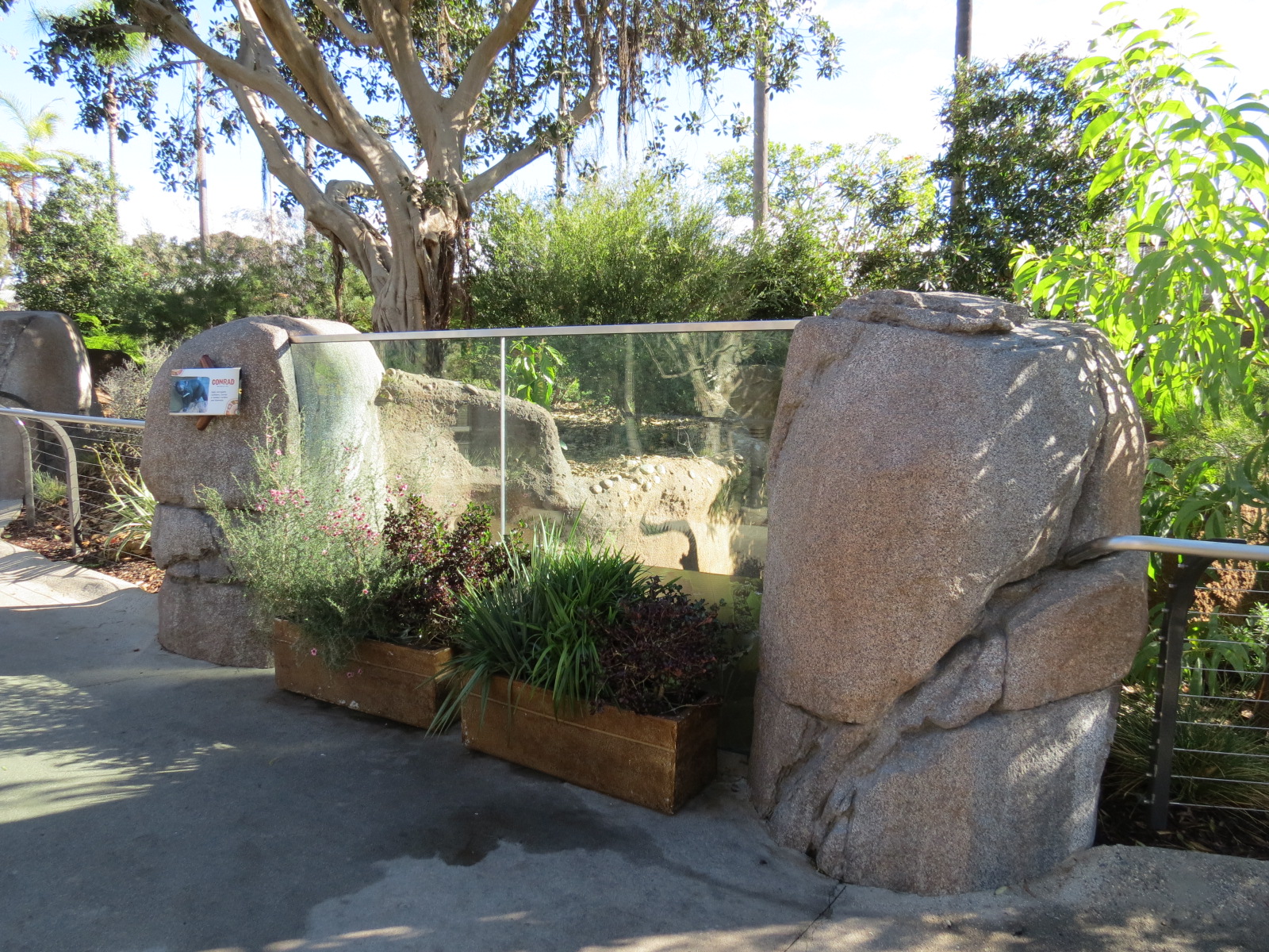 Outback - Tasmanian Devil Exhibit 1