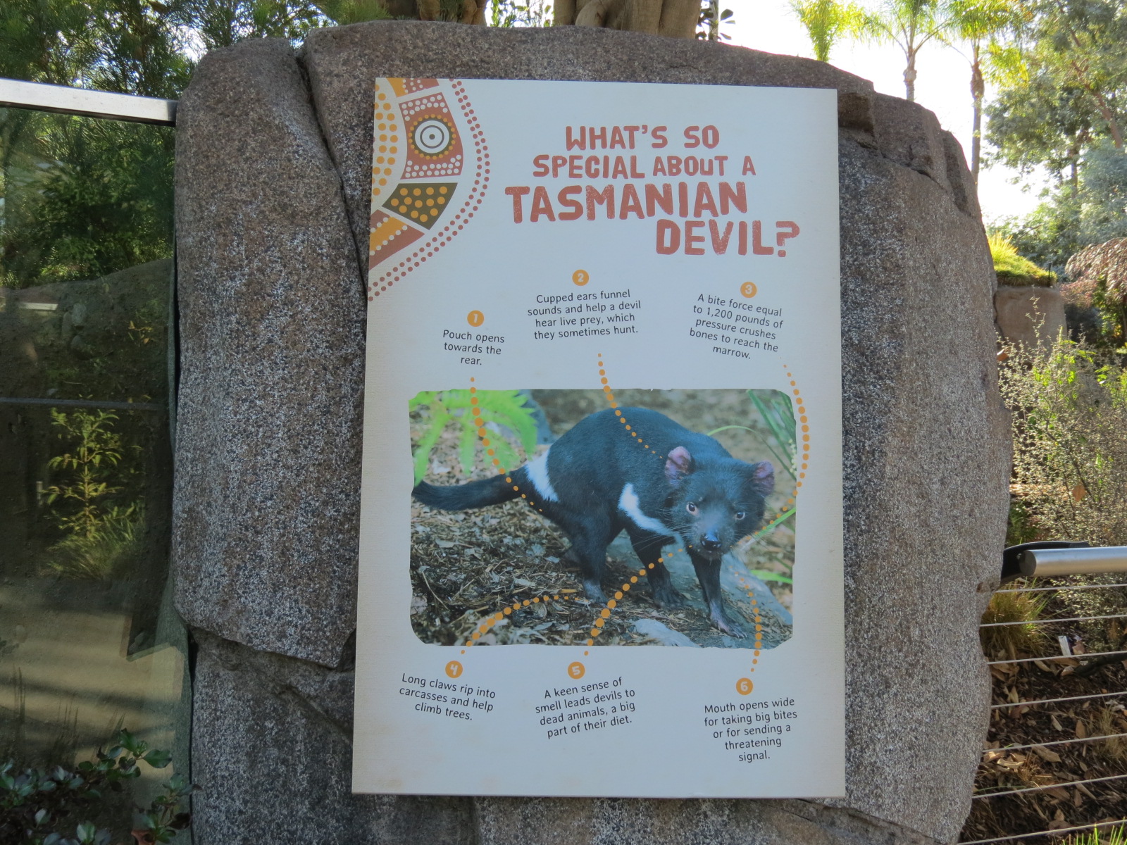Outback -Tasmanian Devil Exhibit 2 - Sign