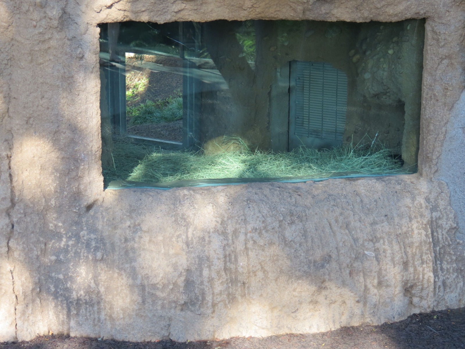 Outback - Tasmanian Devil Exhibit 4 - Den