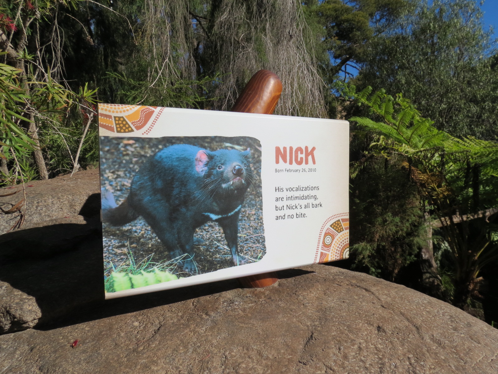 Outback - Tasmanian Devil Exhibit 4 - Sign