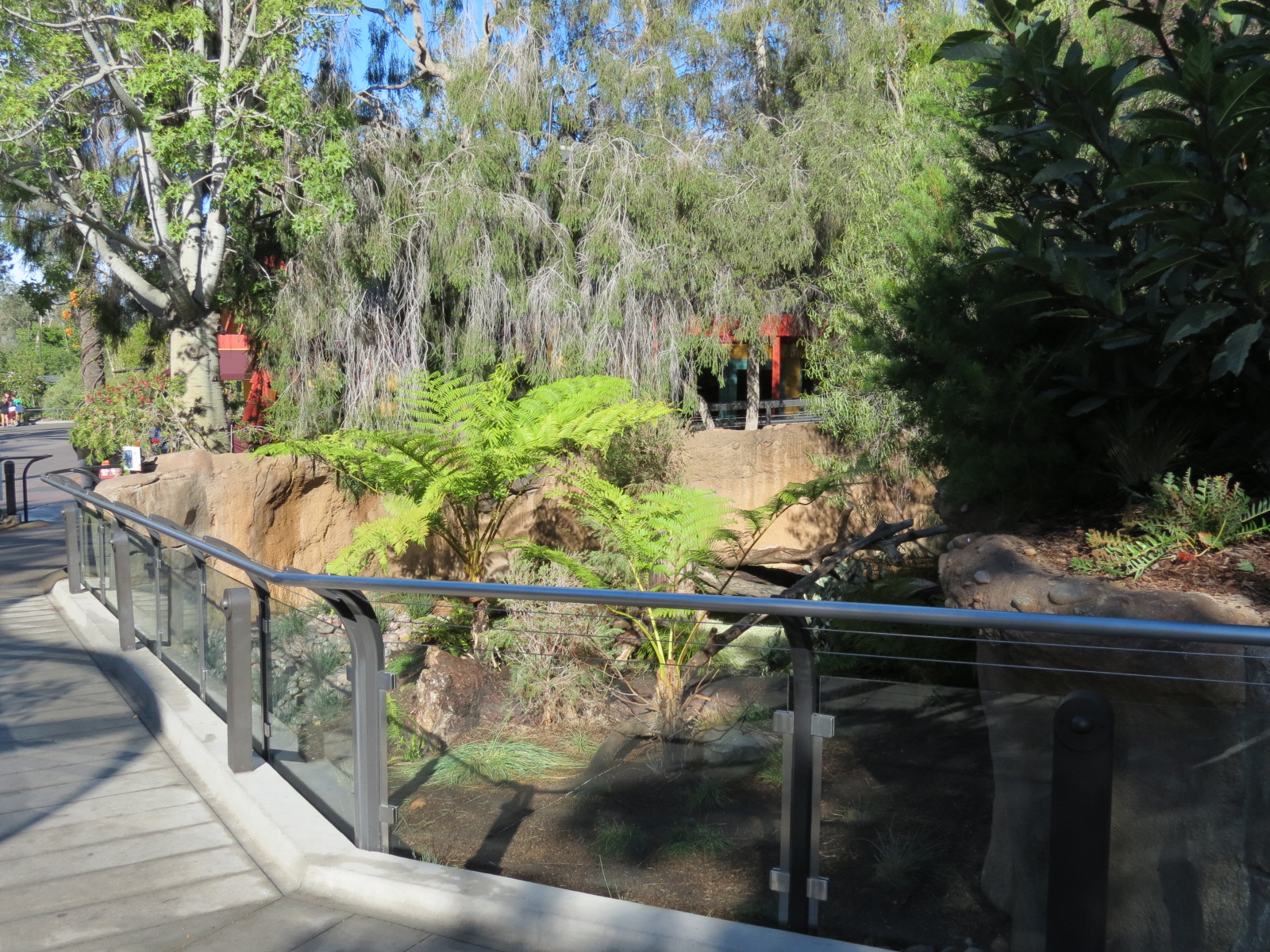 Outback - Tasmanian Devil Exhibit 4