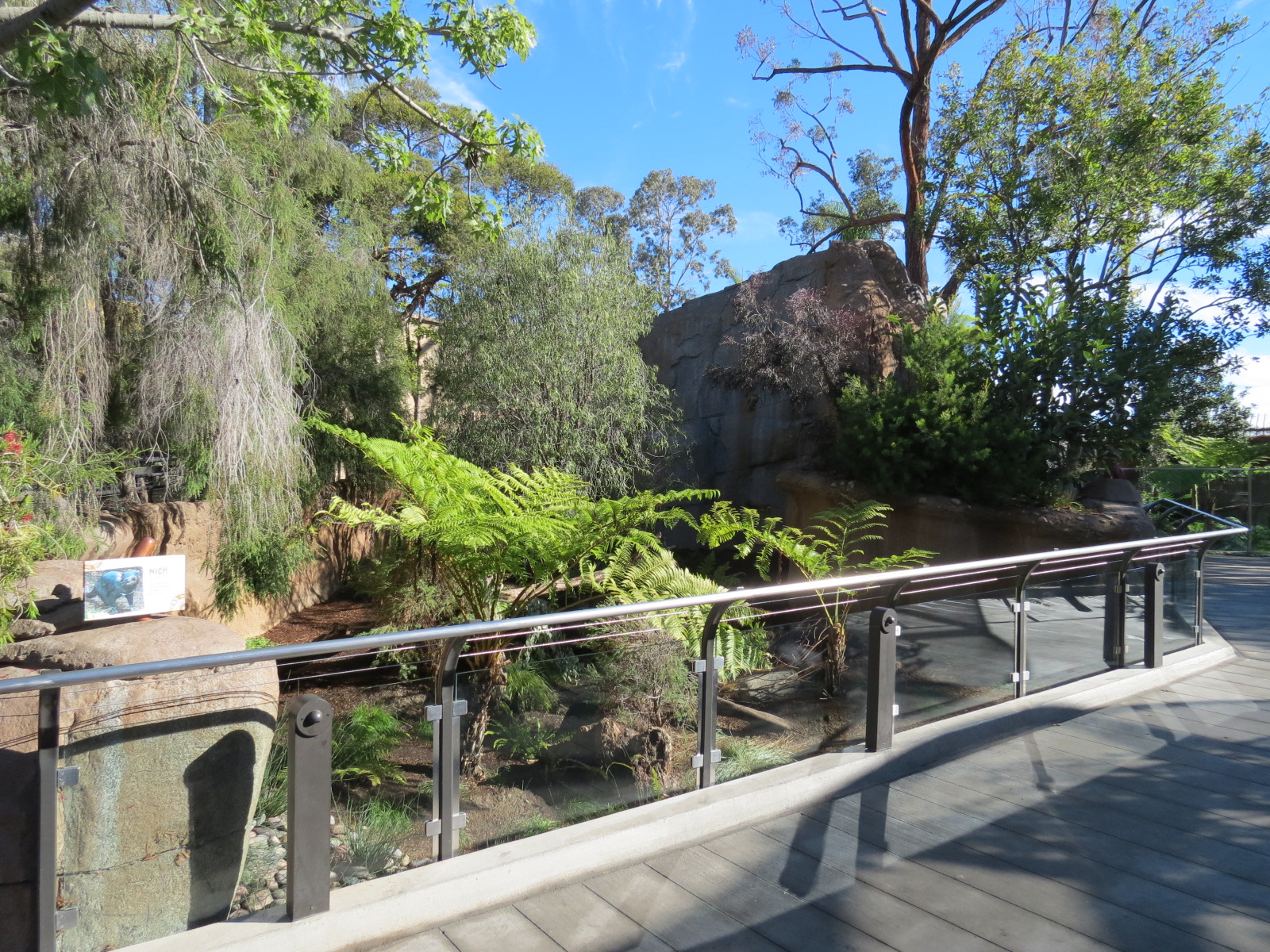 Outback - Tasmanian Devil Exhibit 4