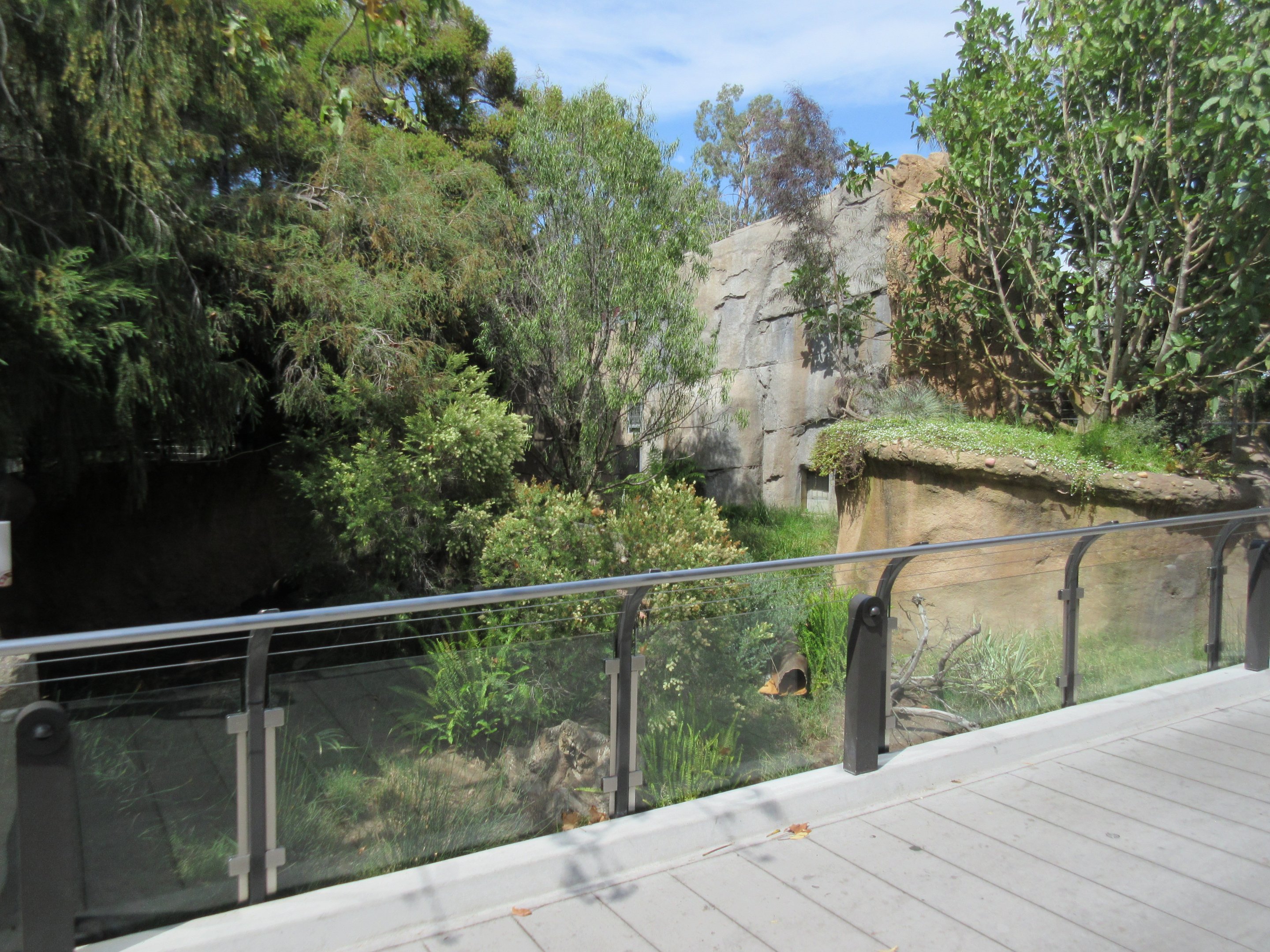 Outback - Tasmanian Devil Exhibit