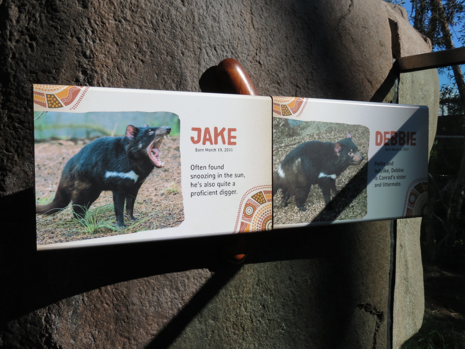 Outback - Tasmanian Devil Exhibits 2 and 3 - Signs