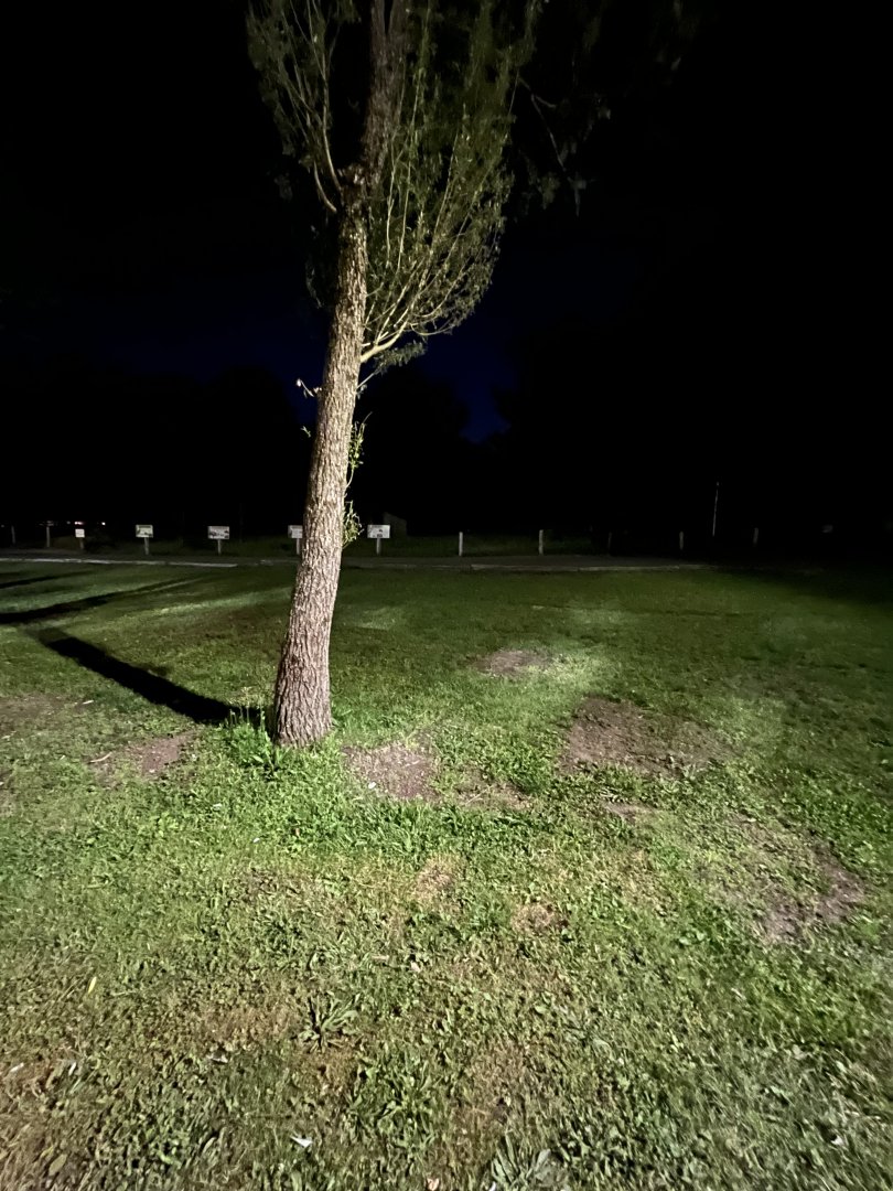 Outback Trail at Night