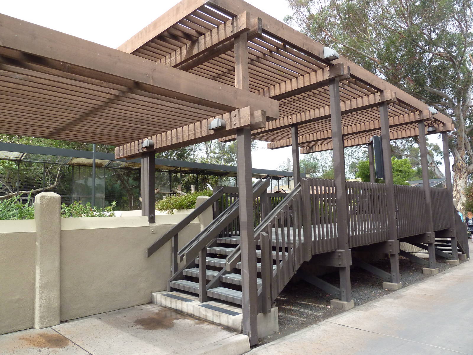 Outback - Tree Kangaroo/Wombat Overlook