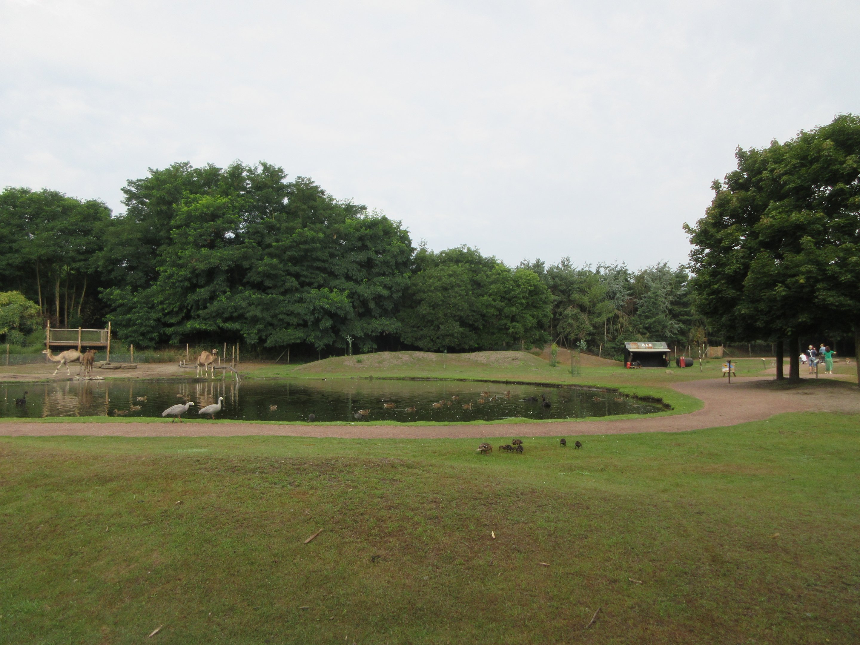 Outback (walk-through)