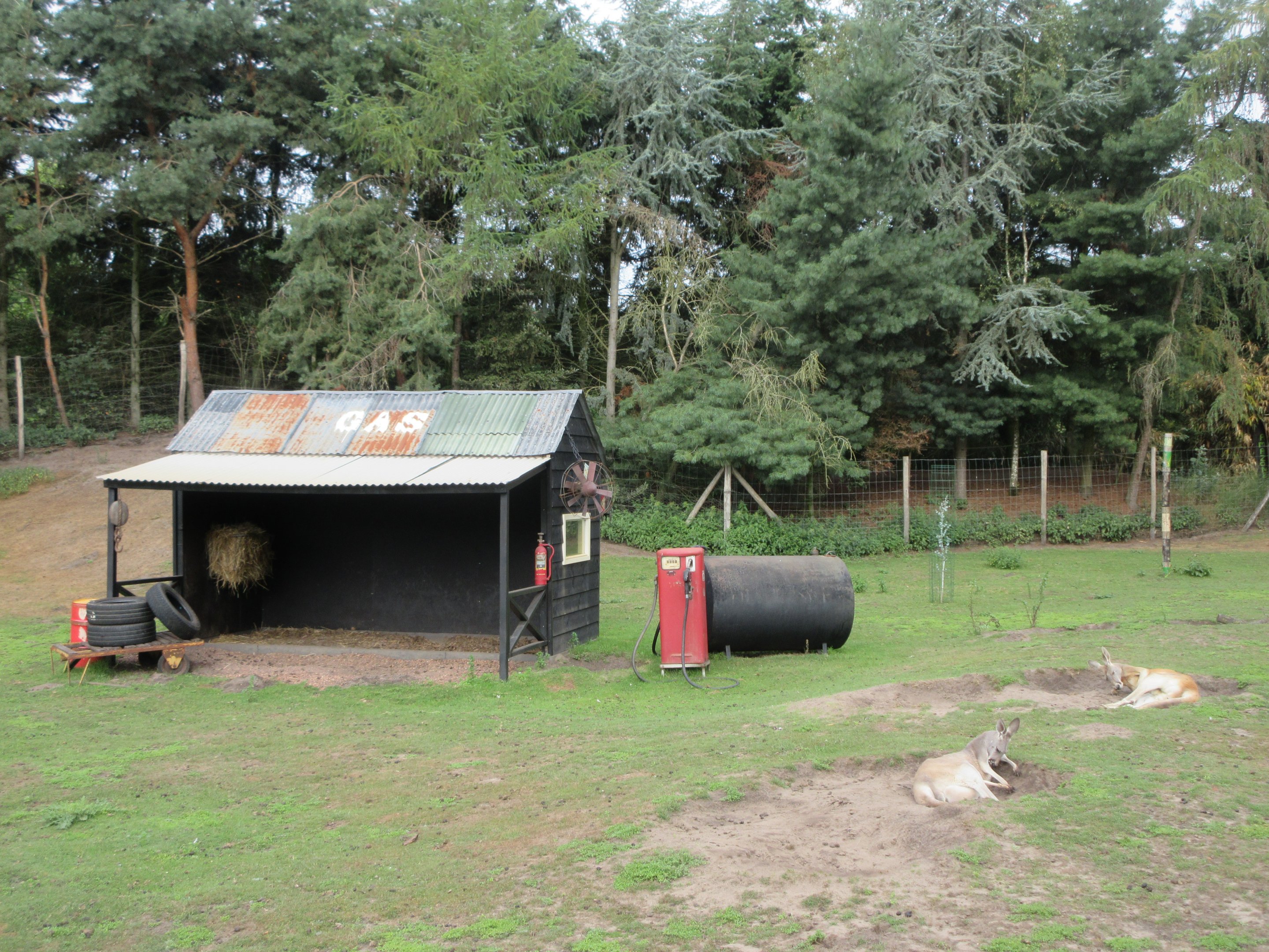 Outback (walk-through)