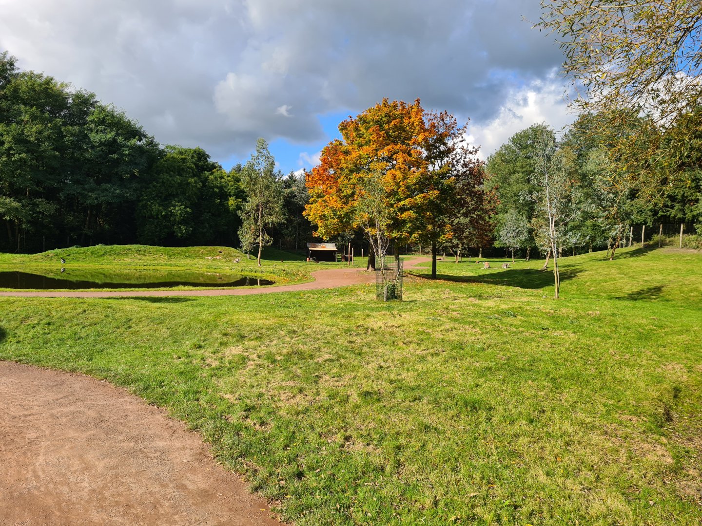 Outback walkthrough habitat