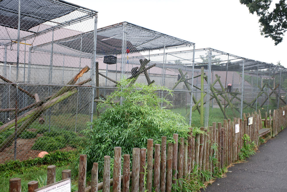 outdated monkey cages