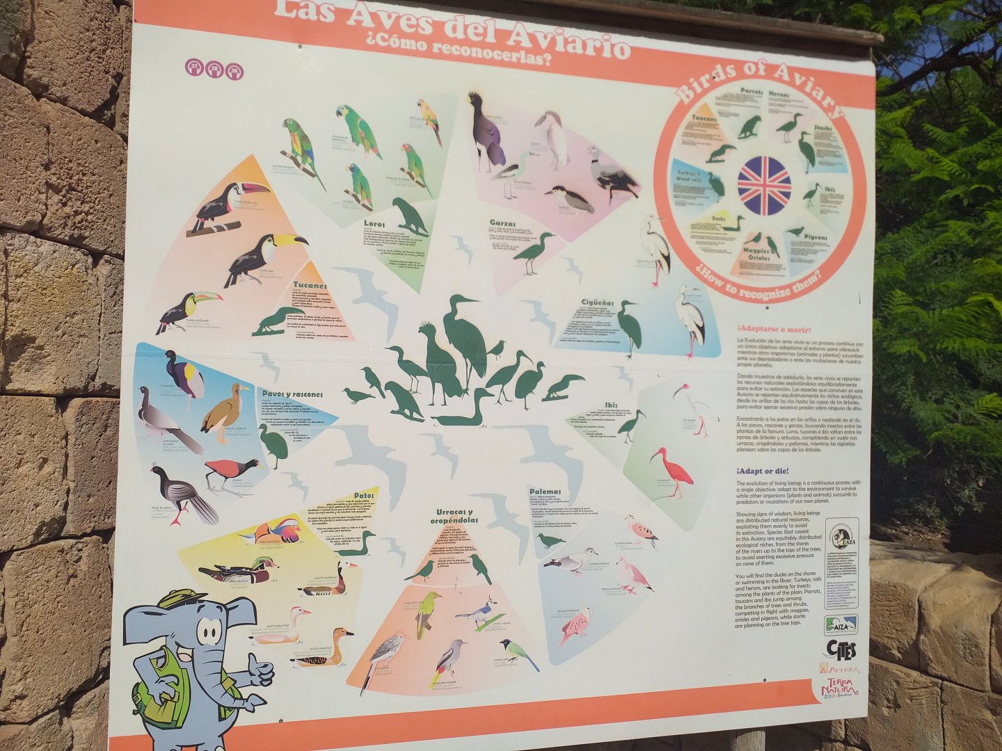 Outdated sign -TerraNatura Benidorm (2021)