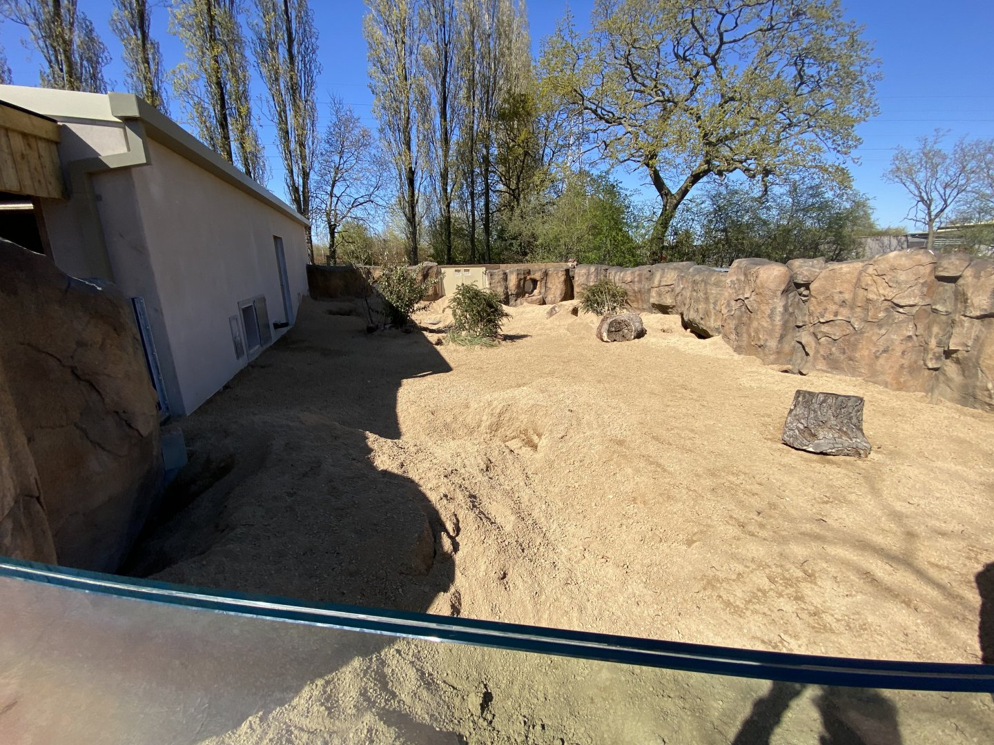 Outdoor aardvark enclosure