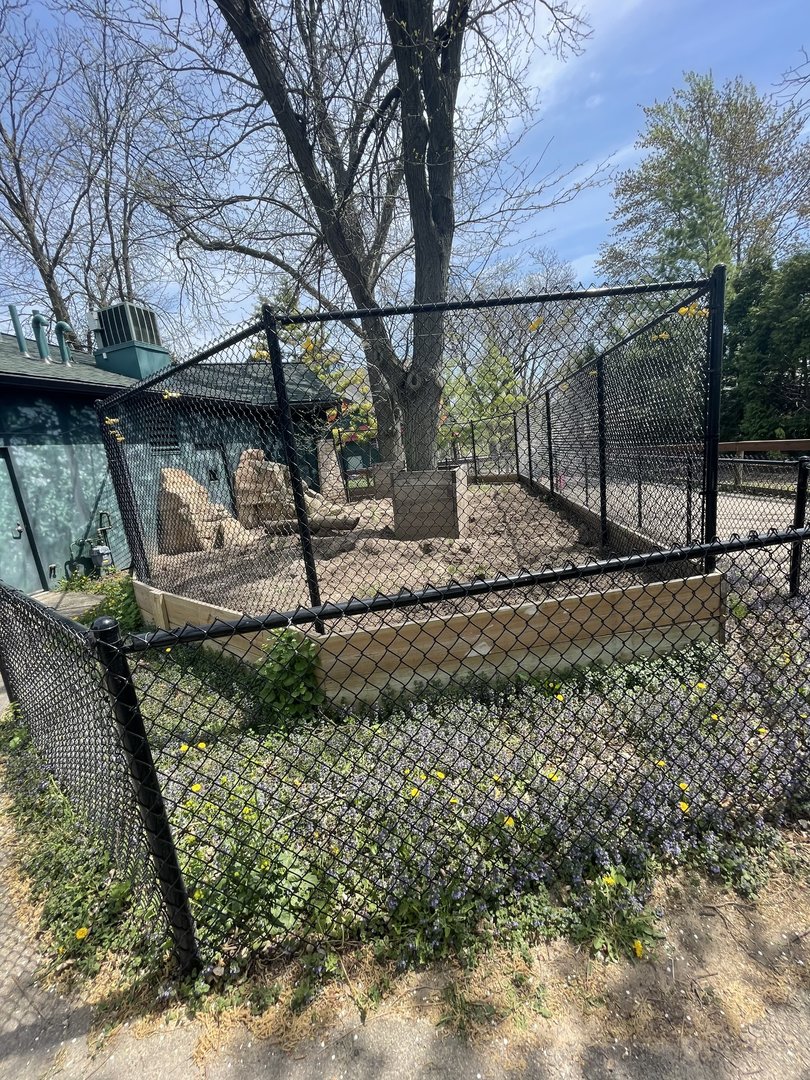Outdoor Aardvark Exhibit (5/2/21)