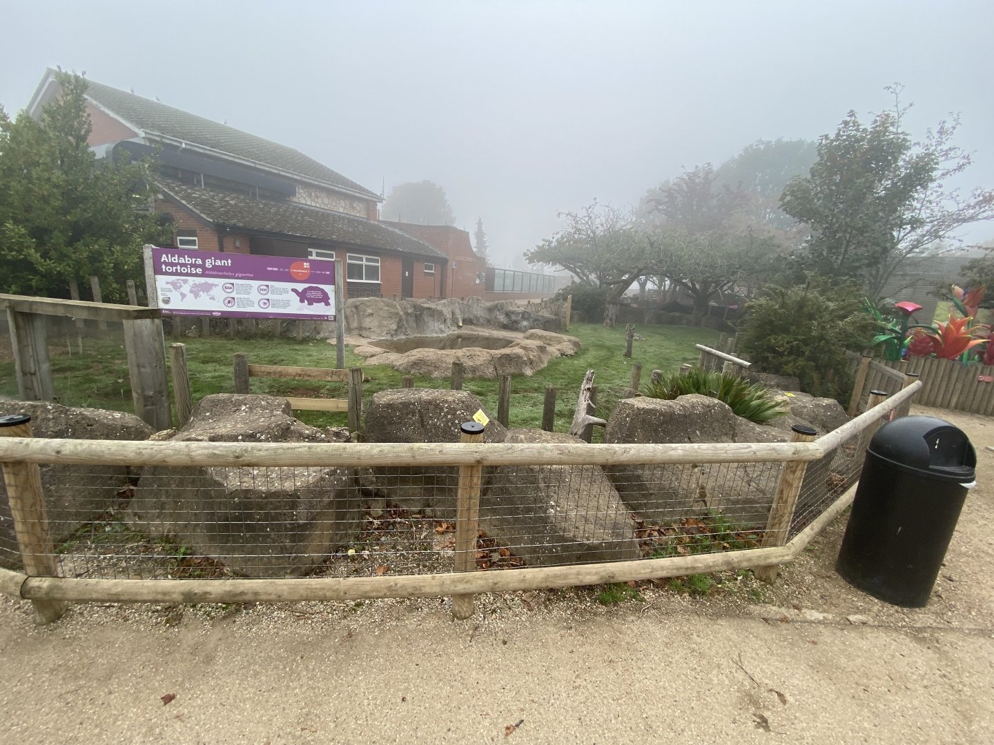 Outdoor Aldabra giant tortoise enclosure