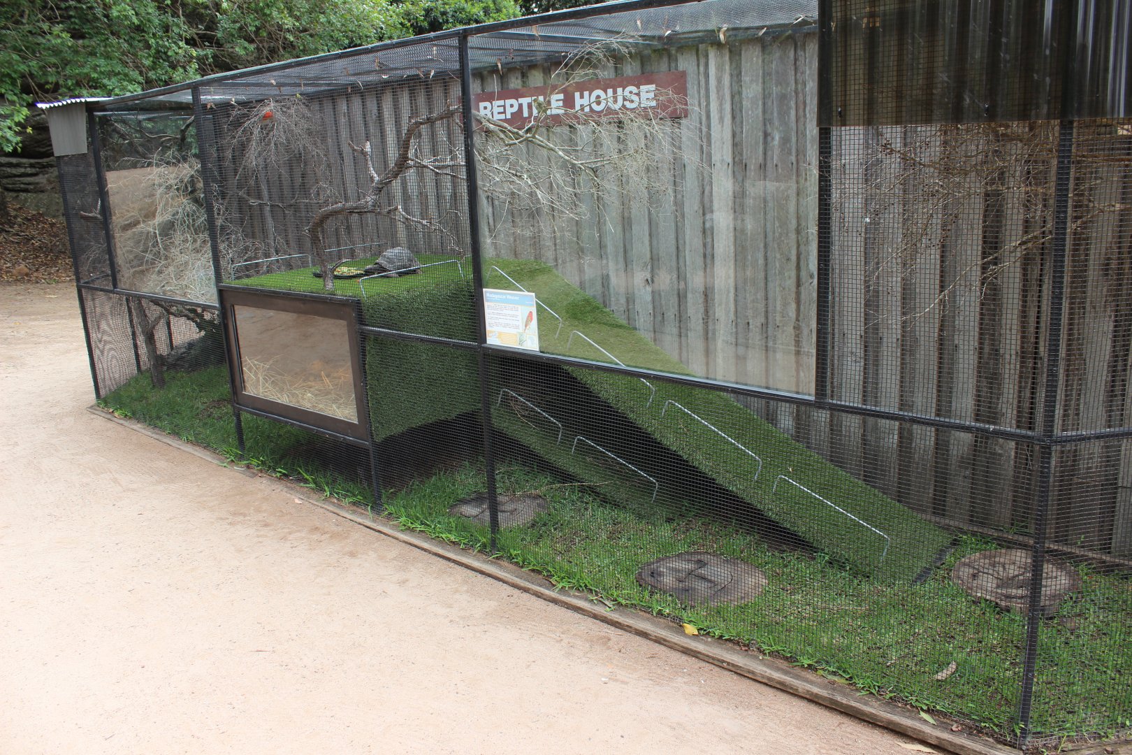 Outdoor Aldabra Tortoise Enclosure