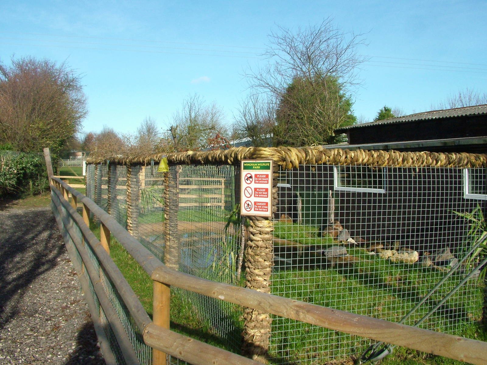 Outdoor Alligator area at Wingham 28/11/09