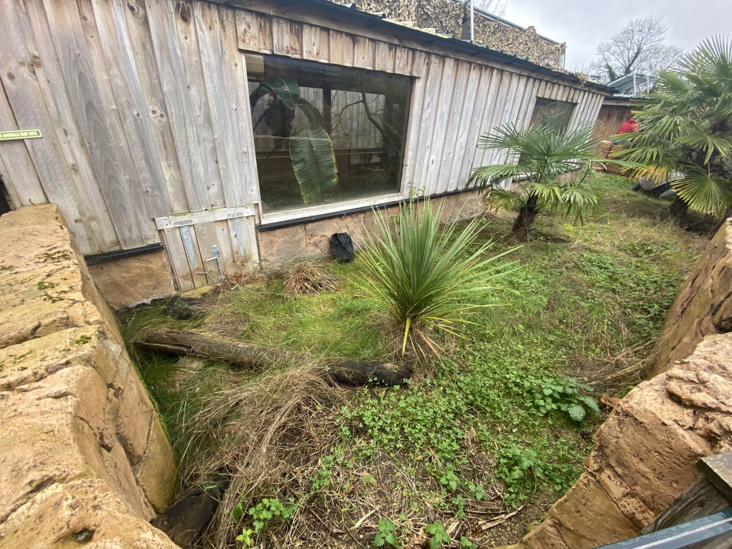 Outdoor alligator house