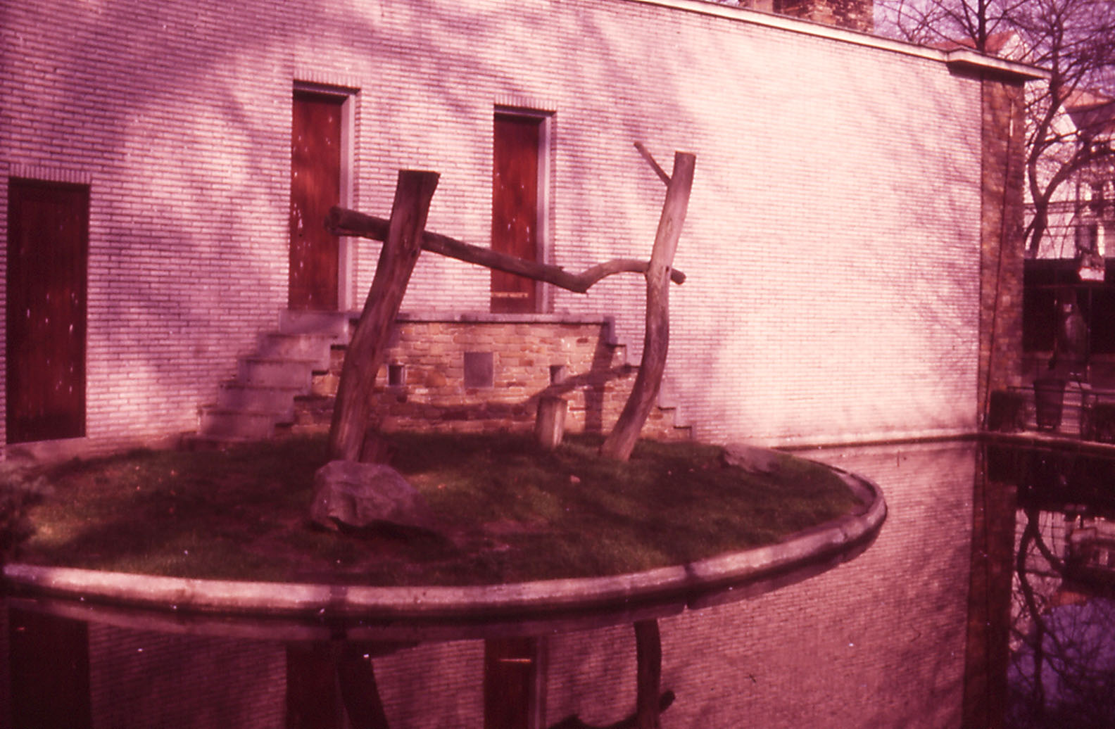 Outdoor Ape enclosure - 1984