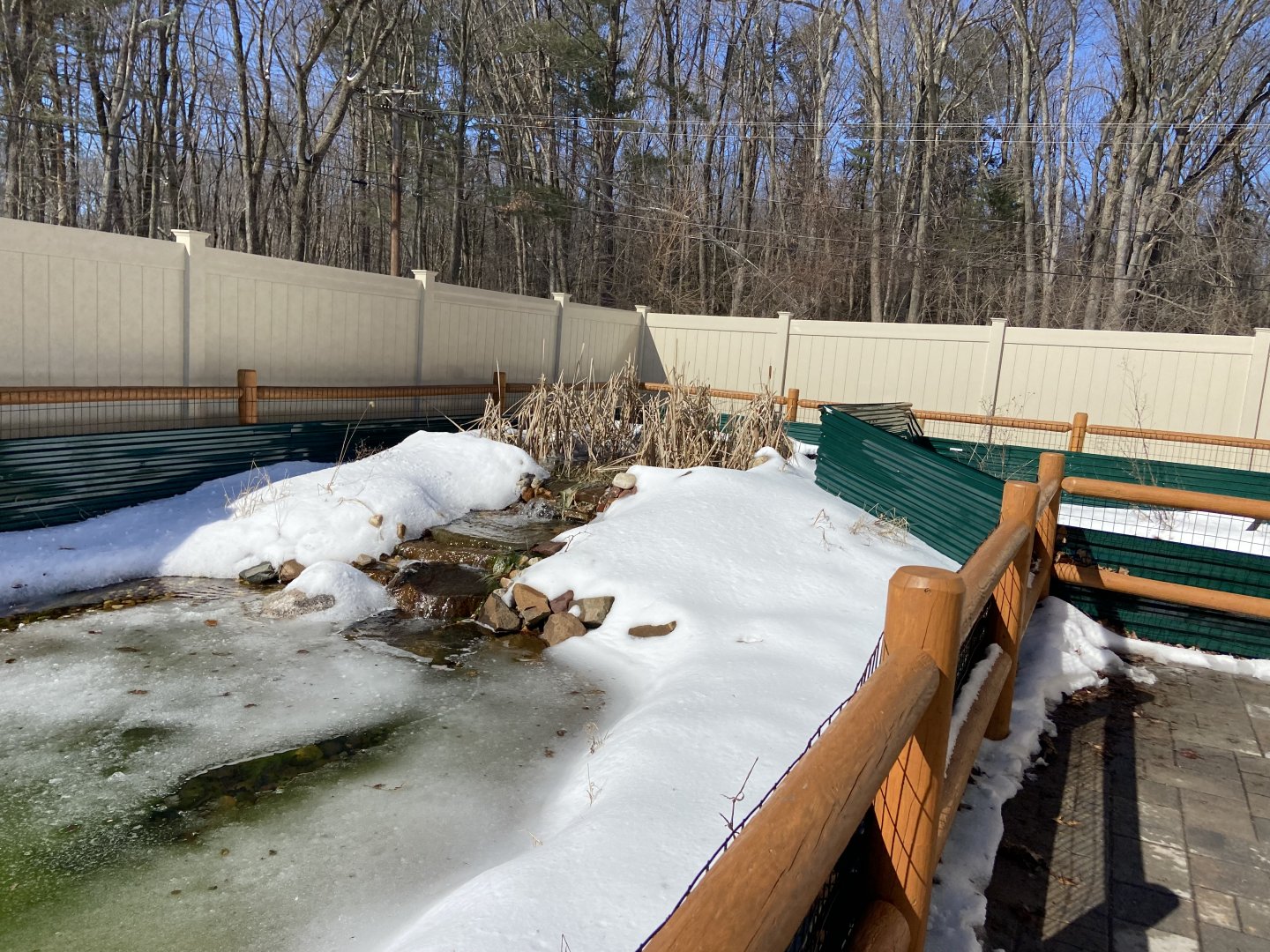 Outdoor Area and Ponds