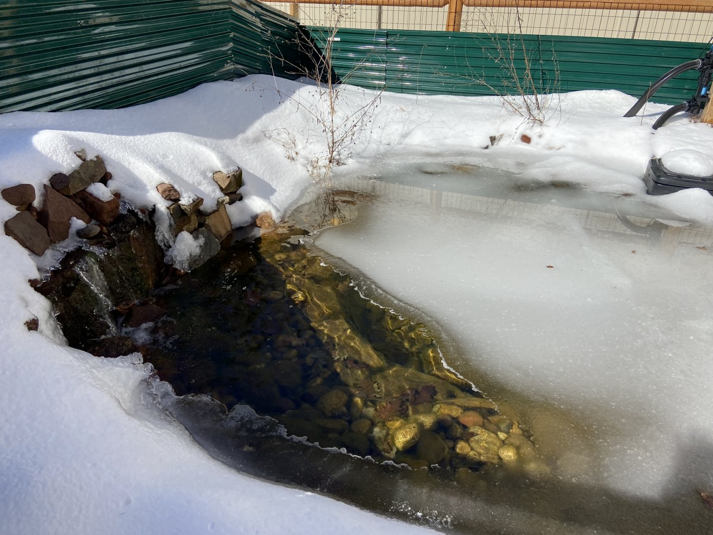 Outdoor Area and Ponds