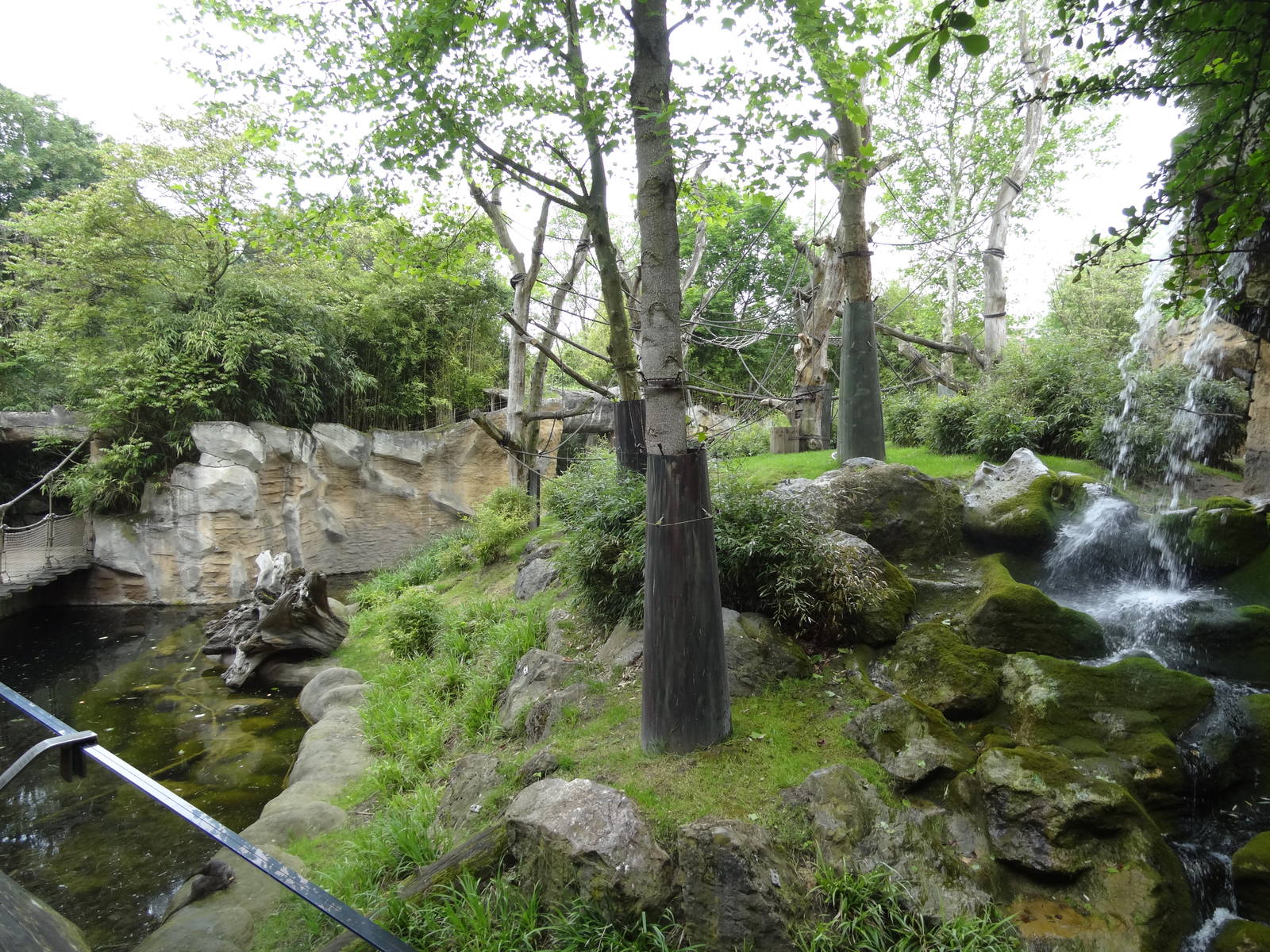 Outdoor area for orangs and otters