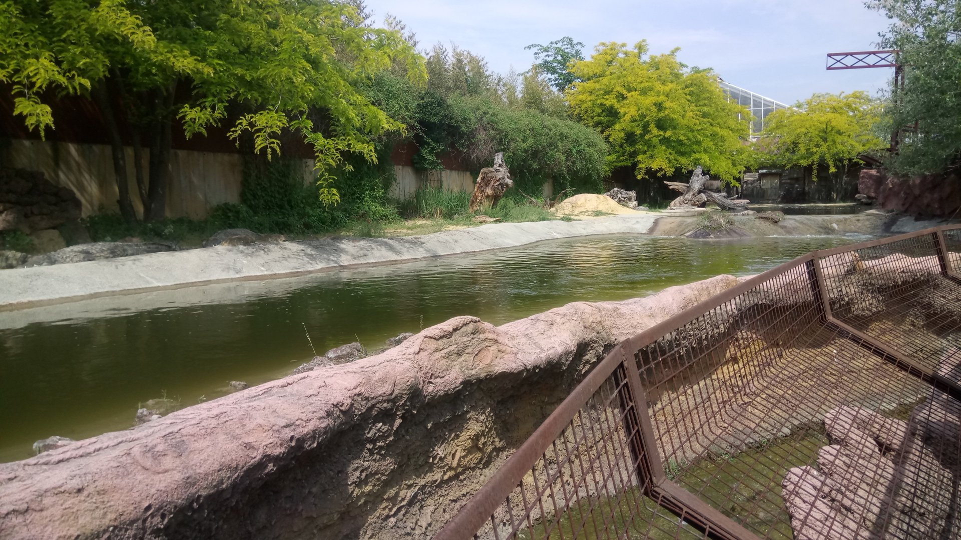 Outdoor area : Nile Crocodiles exhibit