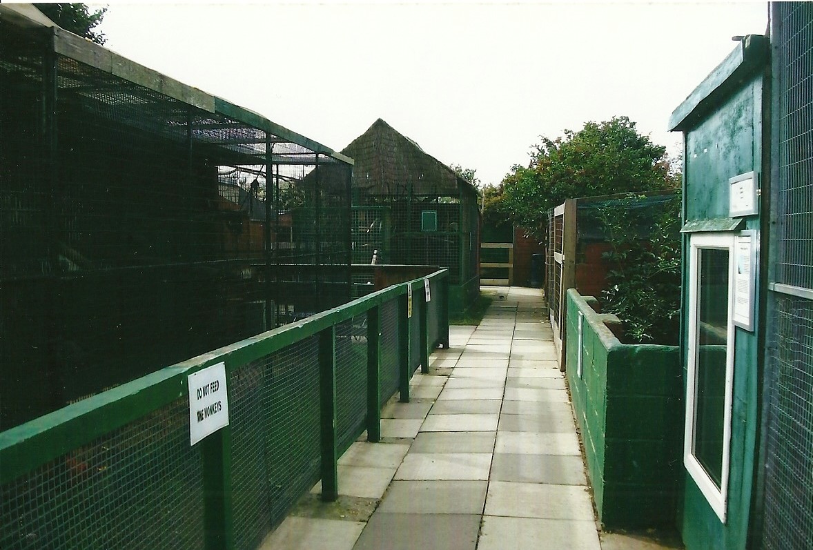 Outdoor area showing Capuchin cage on left, 13th September 2013