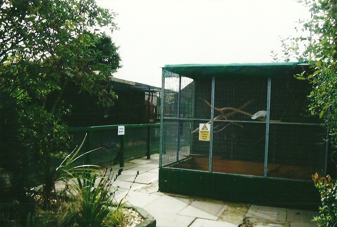 Outdoor area showing Umbrella Cockatoo aviary, 13th September 2013