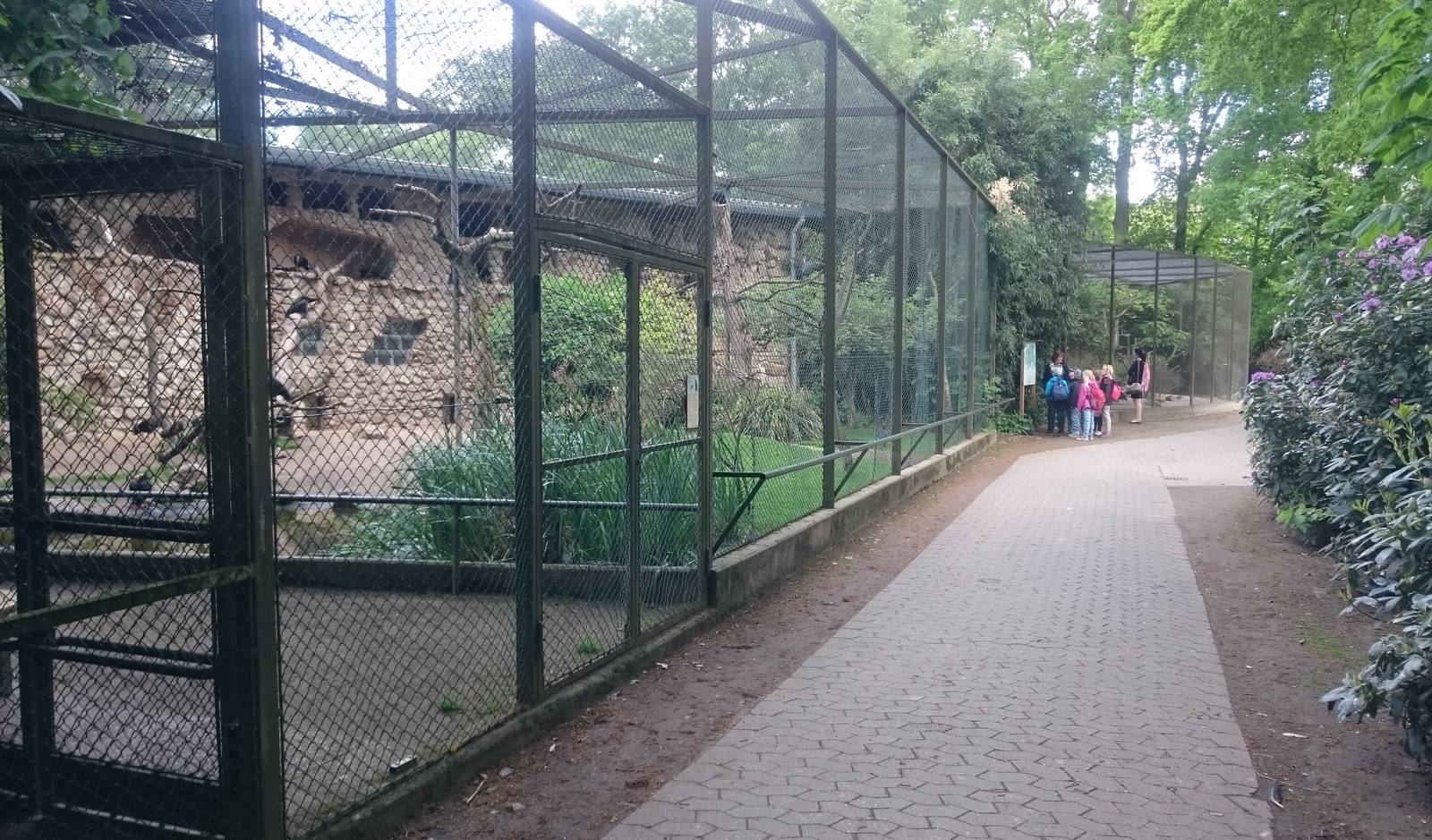 Outdoor-aviaries Bird-house