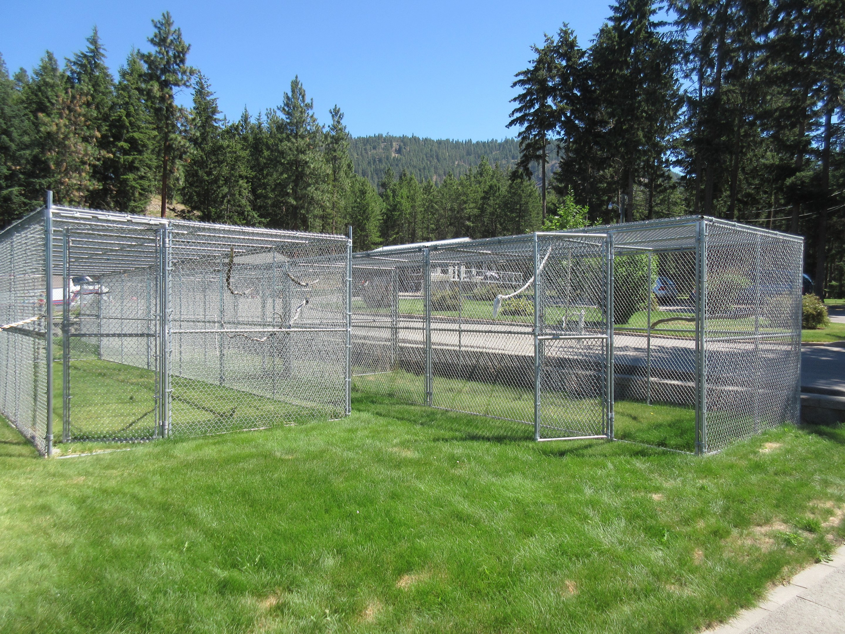 Outdoor Aviaries (Empty)