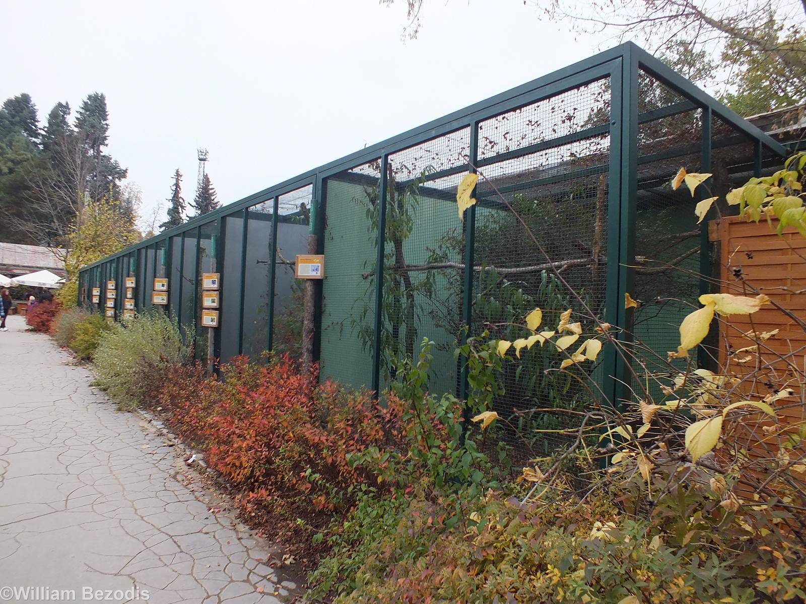 Outdoor Aviaries of the Tropical Pavilion