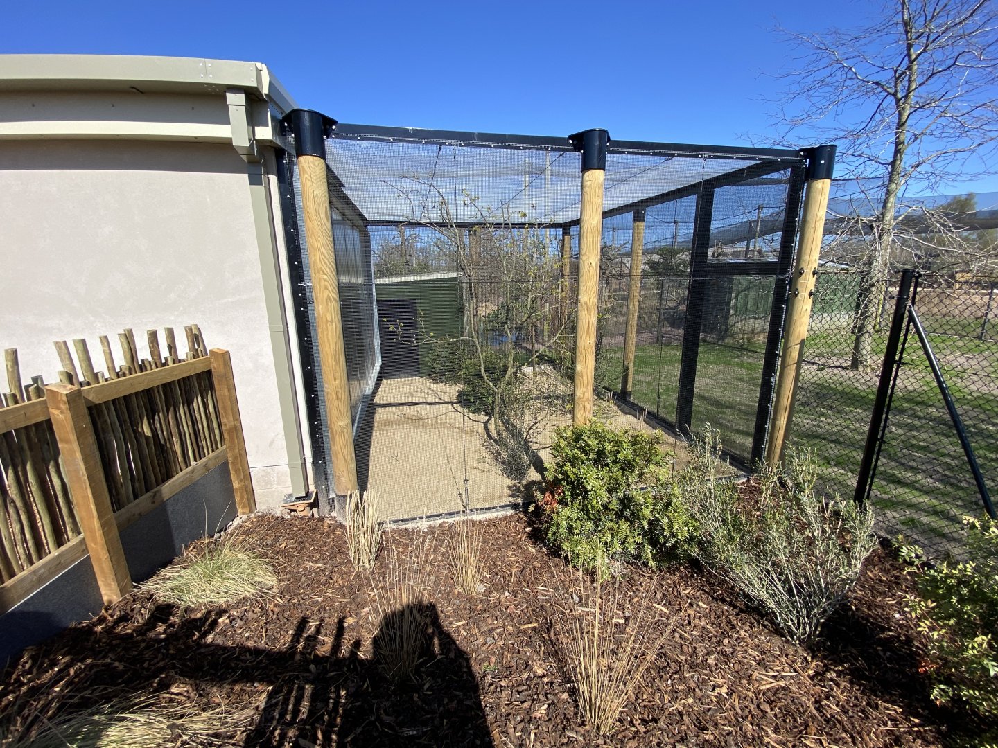Outdoor aviary for the lovebirds, bishops and waxbills
